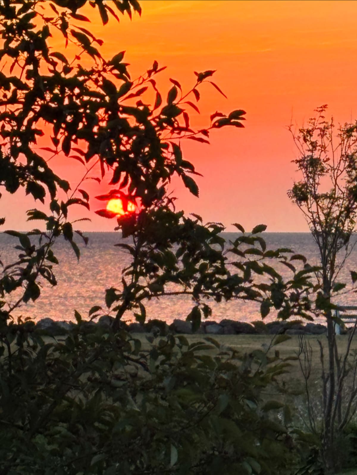 Beautiful sunrise over the horizon with warm golden light