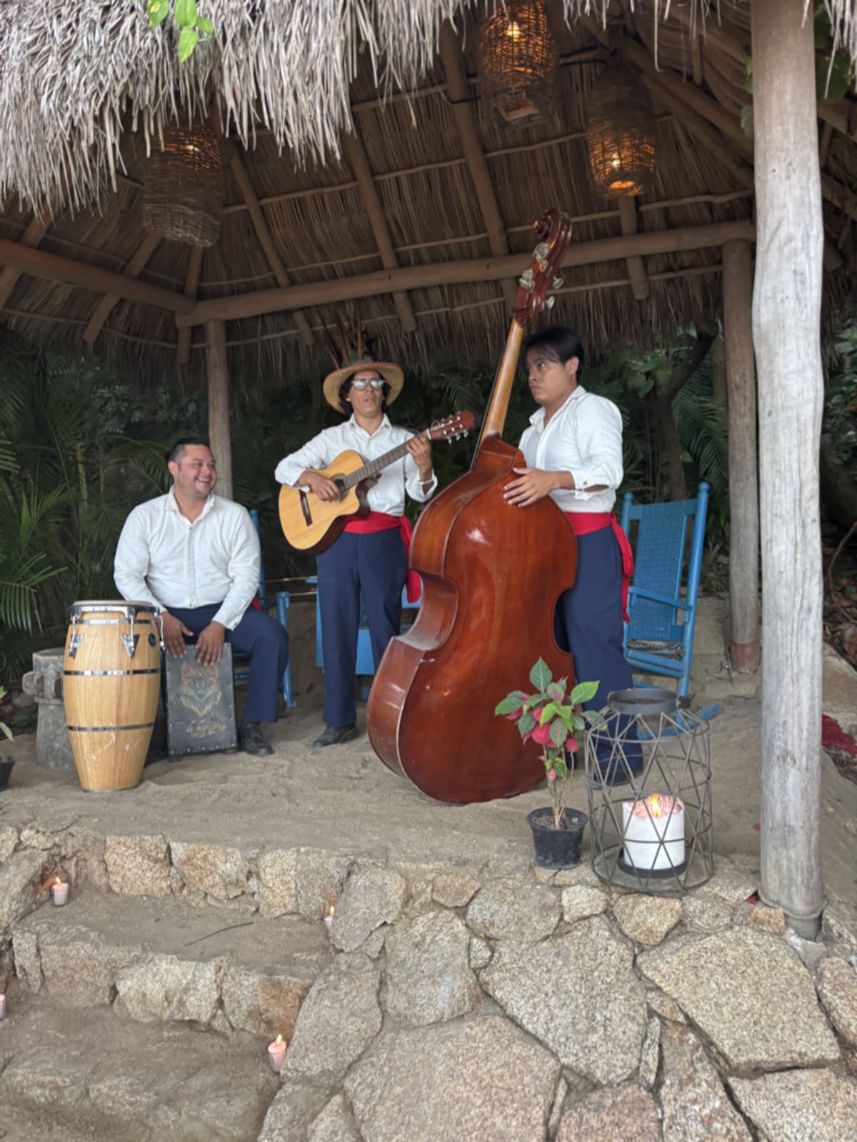 Live musician performing