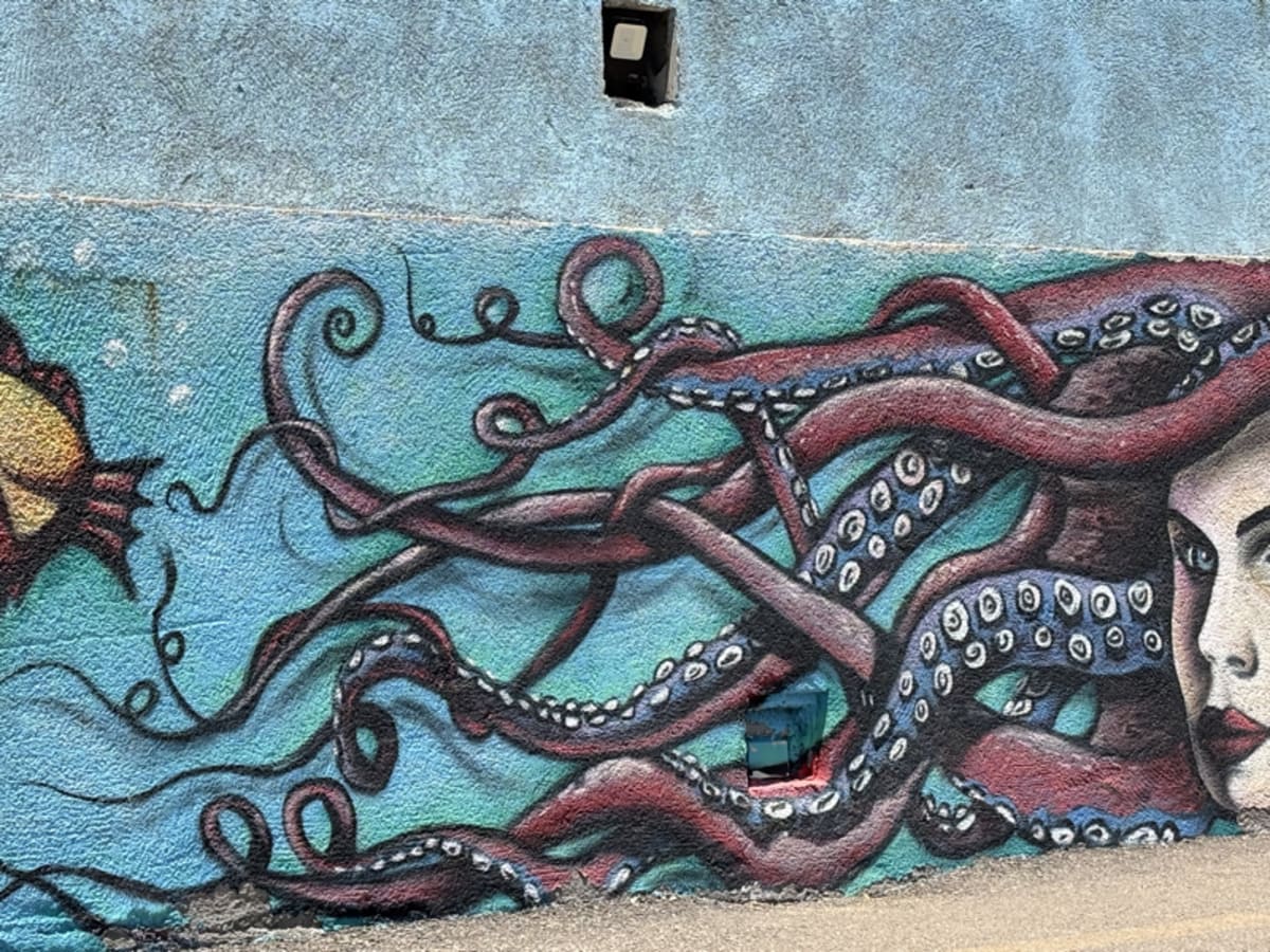 Whimsical octopus street art painting