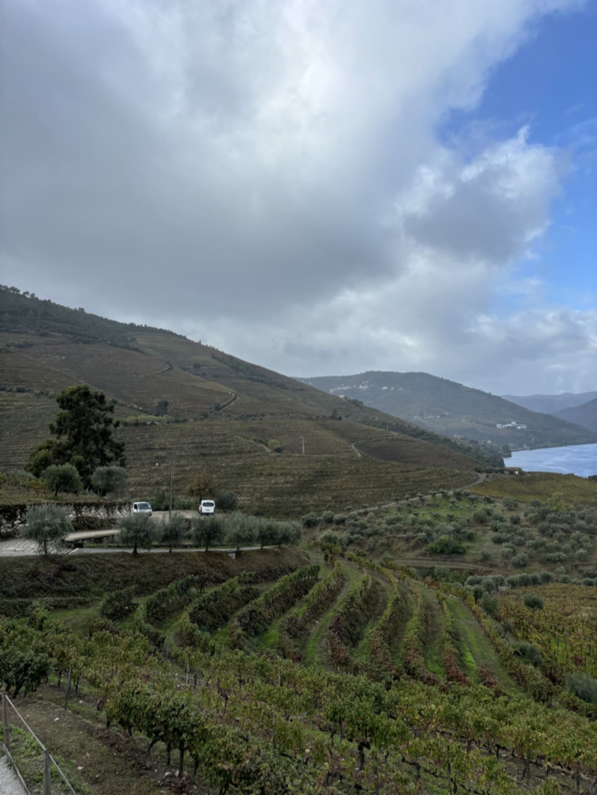 Beautiful Douro River landscape with natural scenery