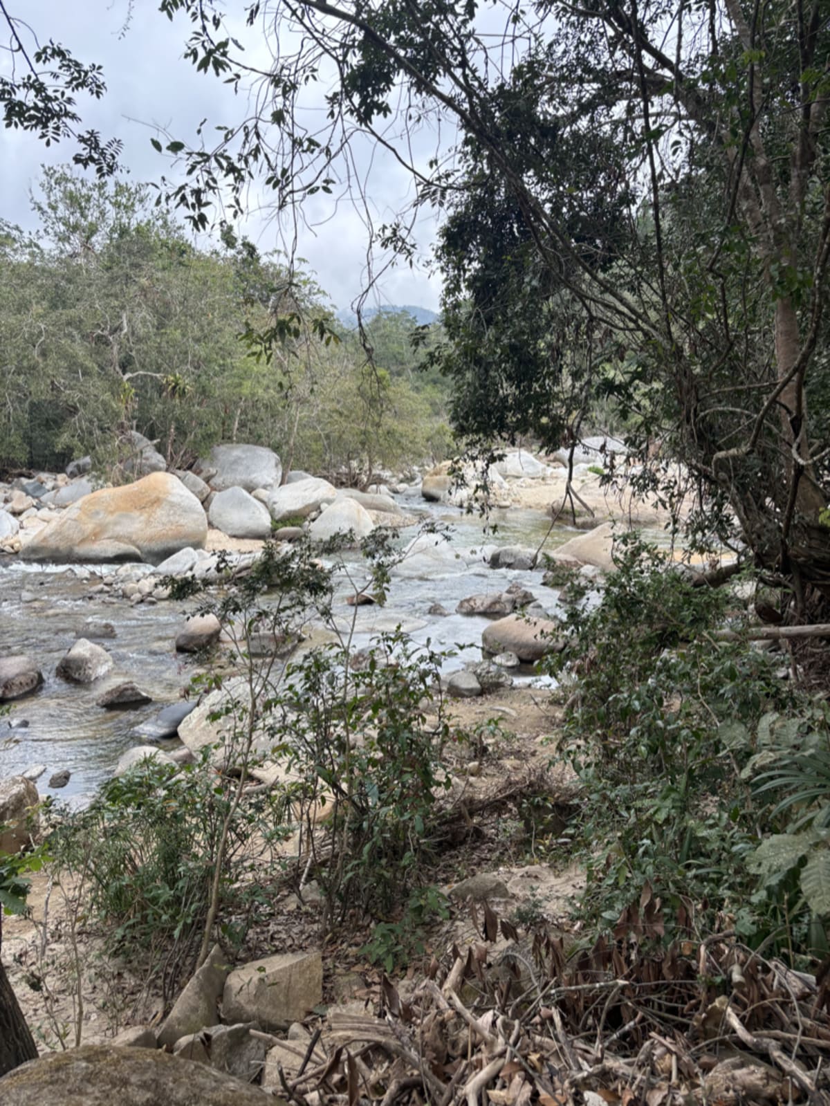 Flowing river through natural landscape