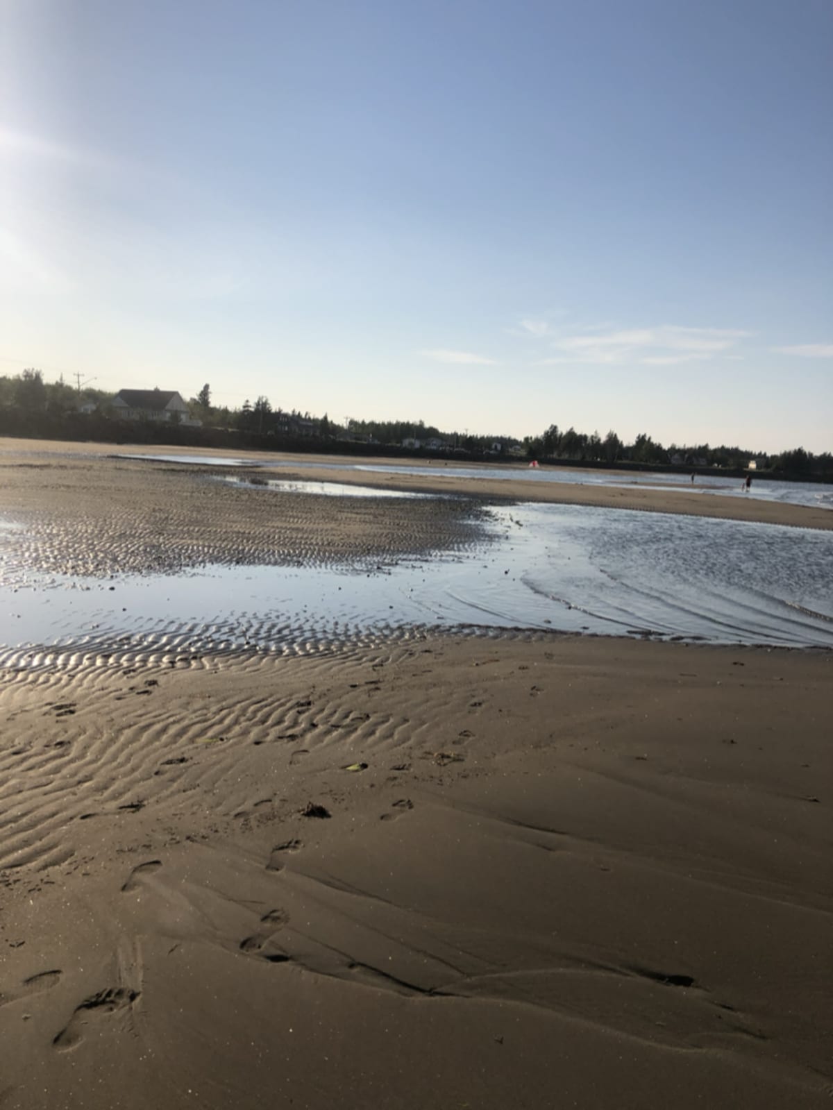 The calming effect of ocean views and the sensory experience of being near the water.