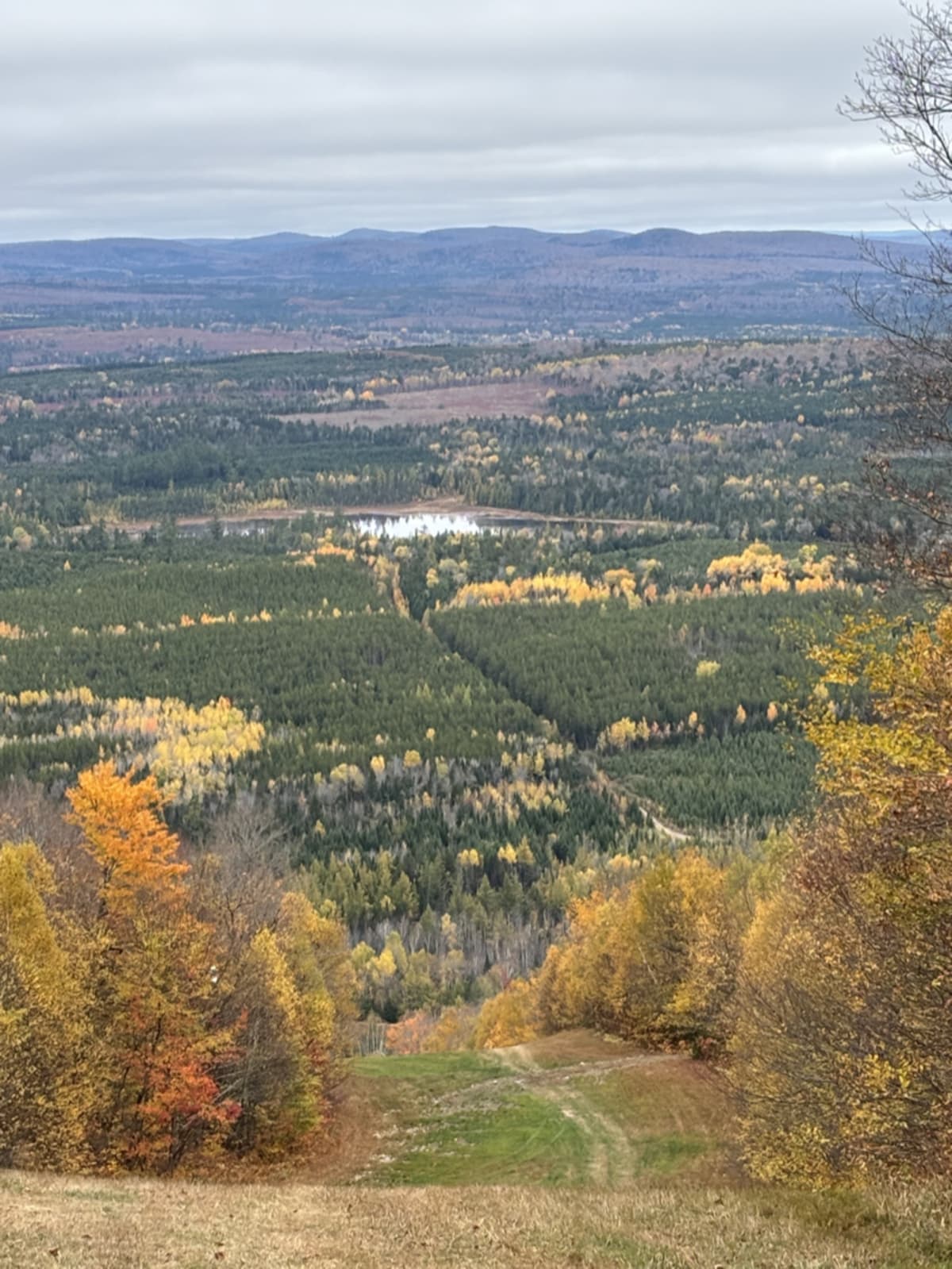 Scenic view from Crabbe Mountain showcasing New Brunswick's natural beauty
