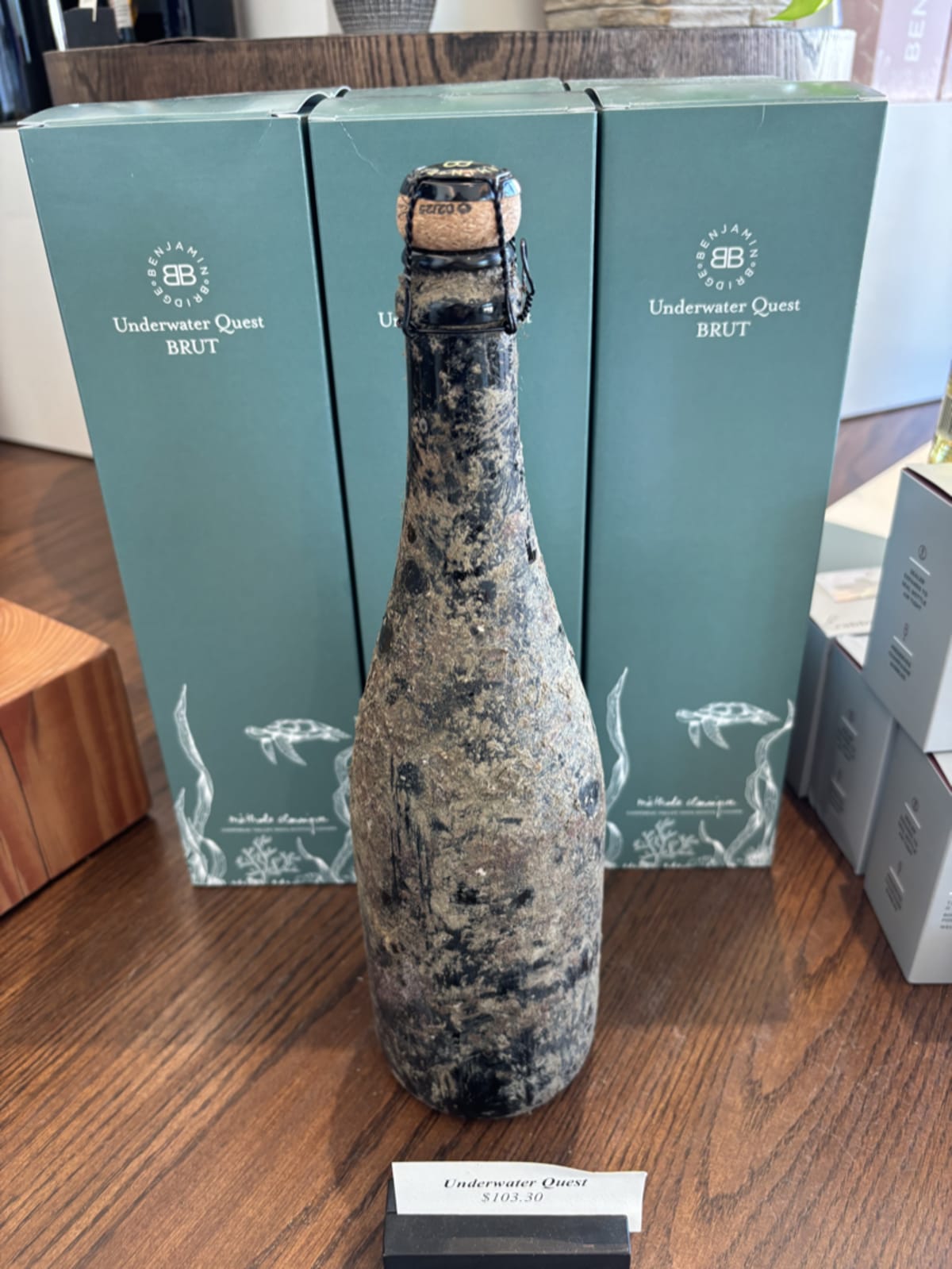Benjamin Bridge Underwaterquest Brut wine bottle with elegant label