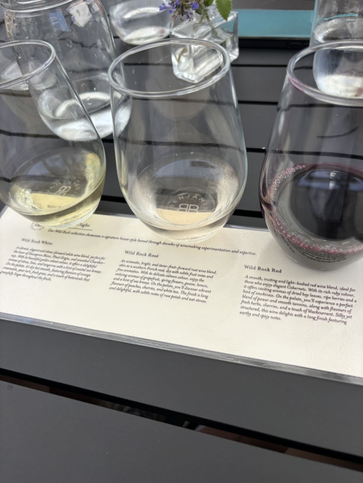 Wine flight tasting at Benjamin Bridge featuring Wild Rock selection