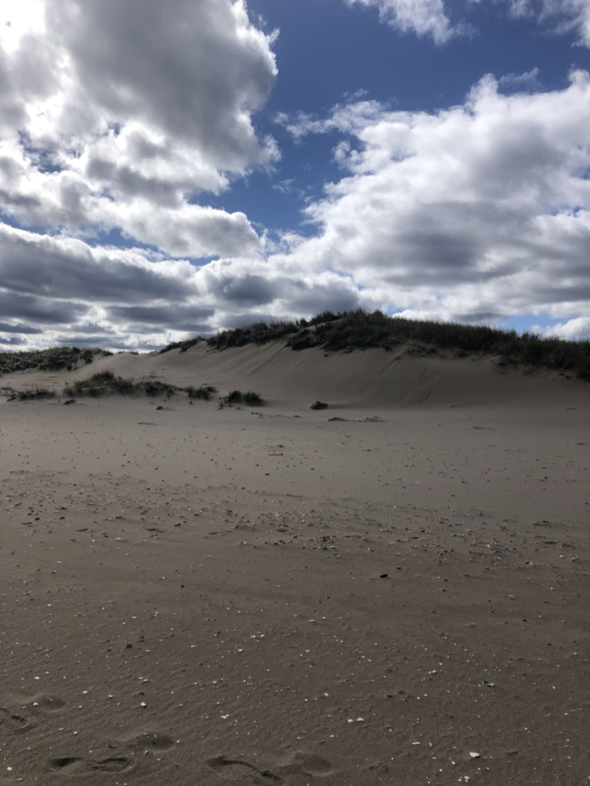 Sandy beach with gentle waves representing the sense of touch