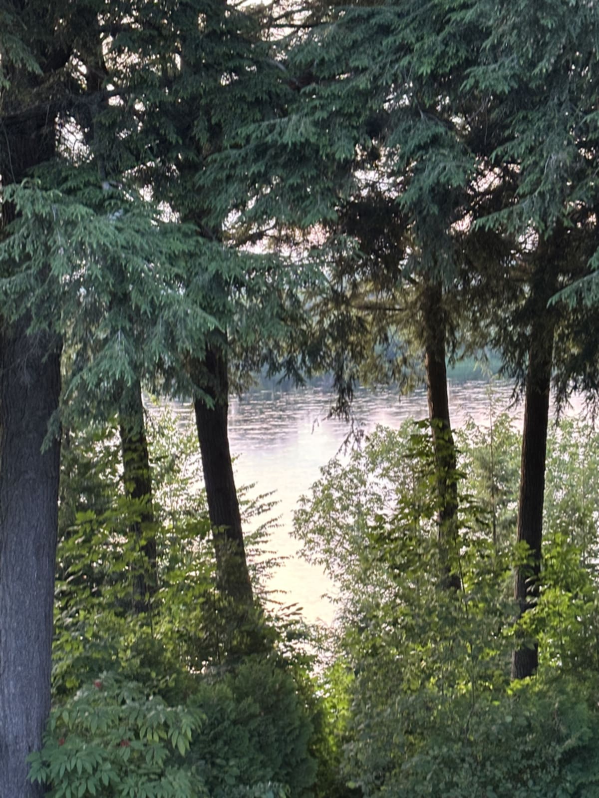 Peaceful river view after rainfall with mist rising