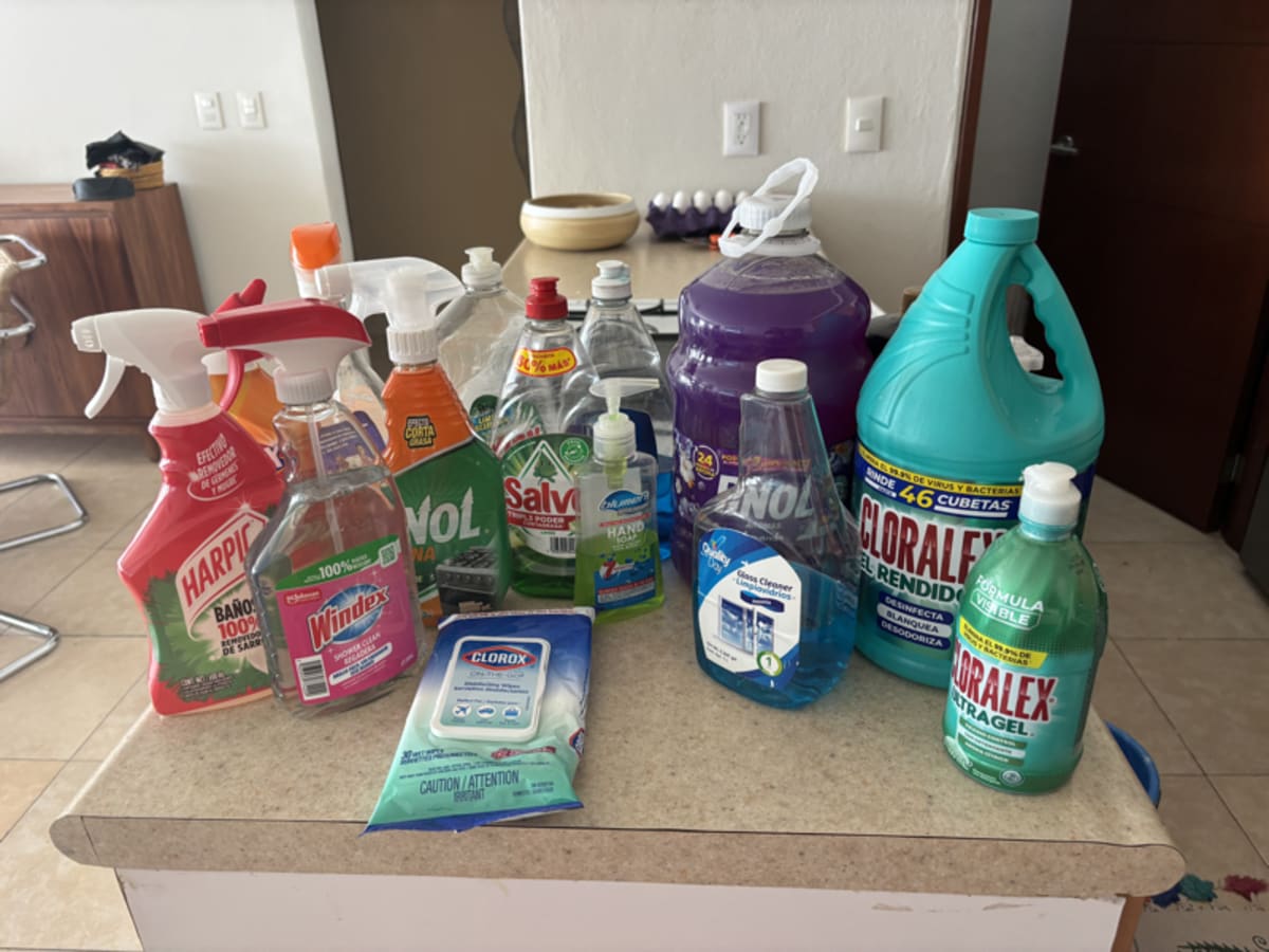 Hand sanitizer and cleaning supplies