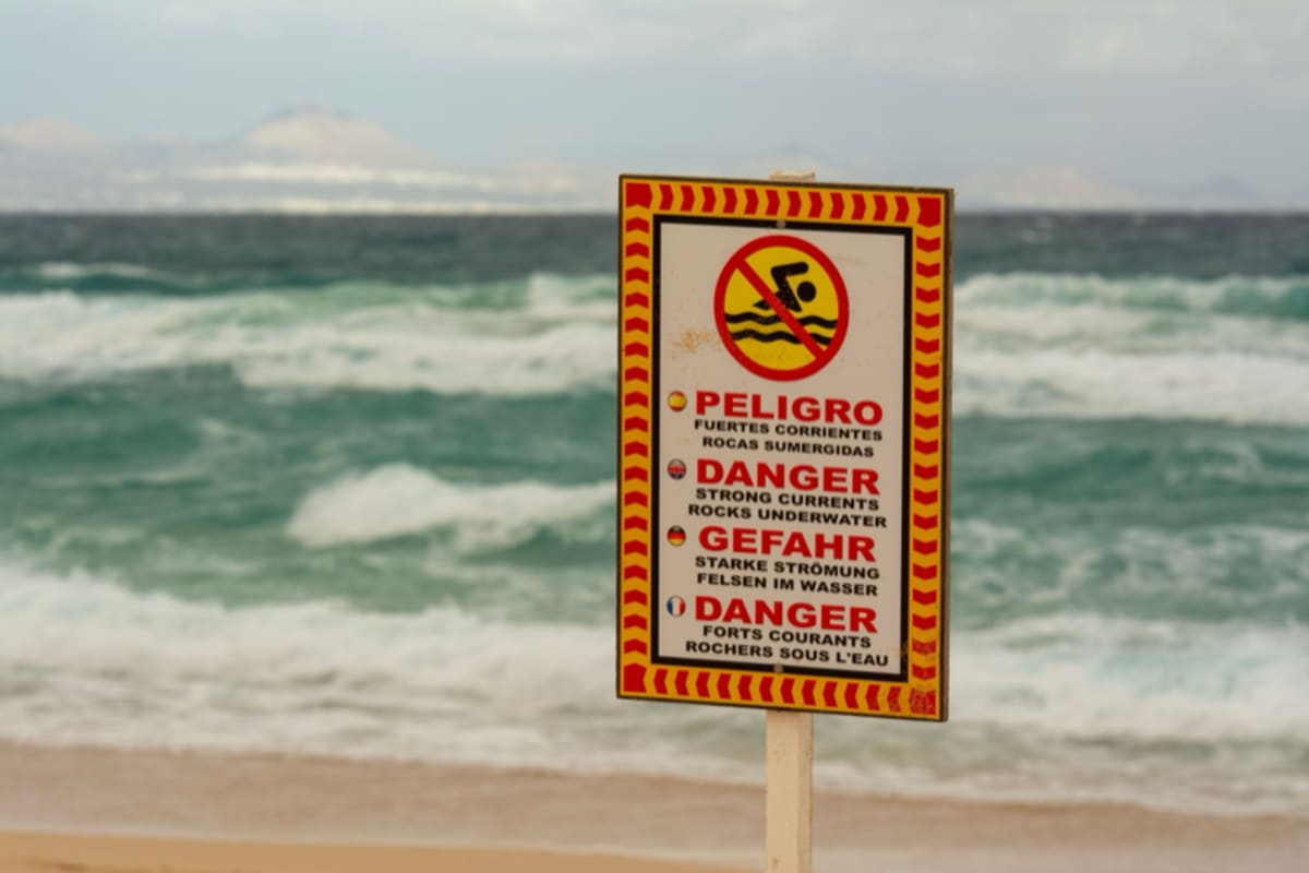 Featured image for Learning to Read the Signs