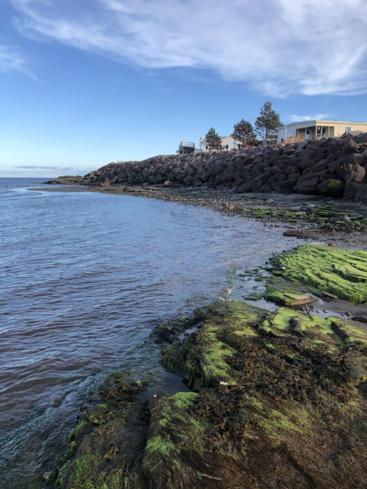 Beach view representing potential day trip adventures