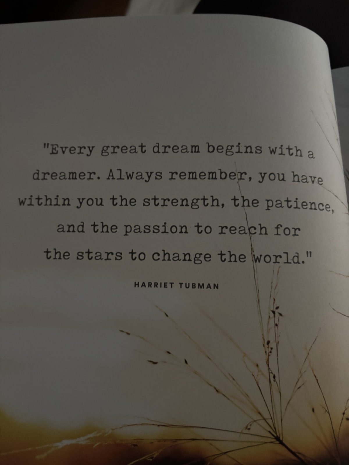 Dreaming of new possibilities