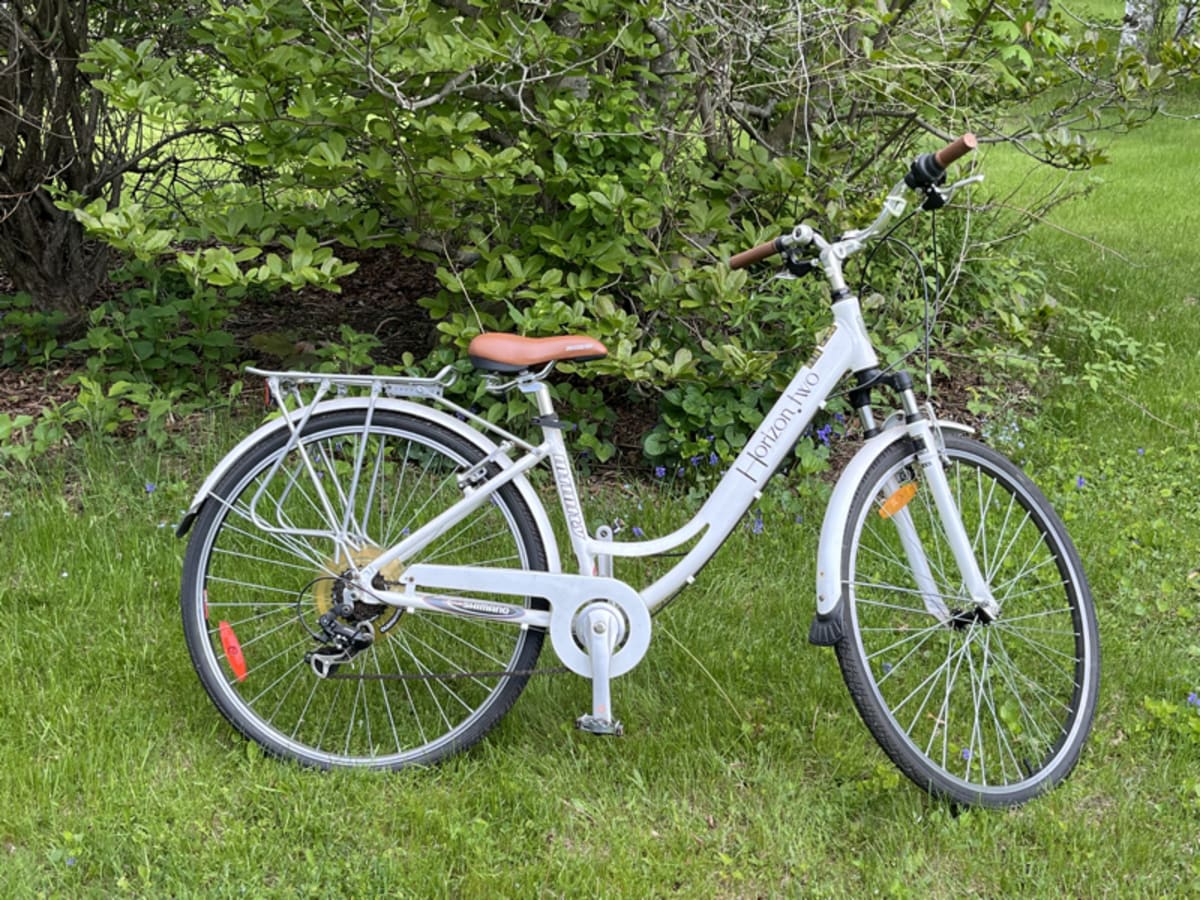 Bicycle representing items that can be sold for travel funds