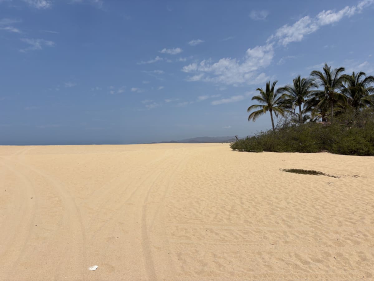 Beach to walk on