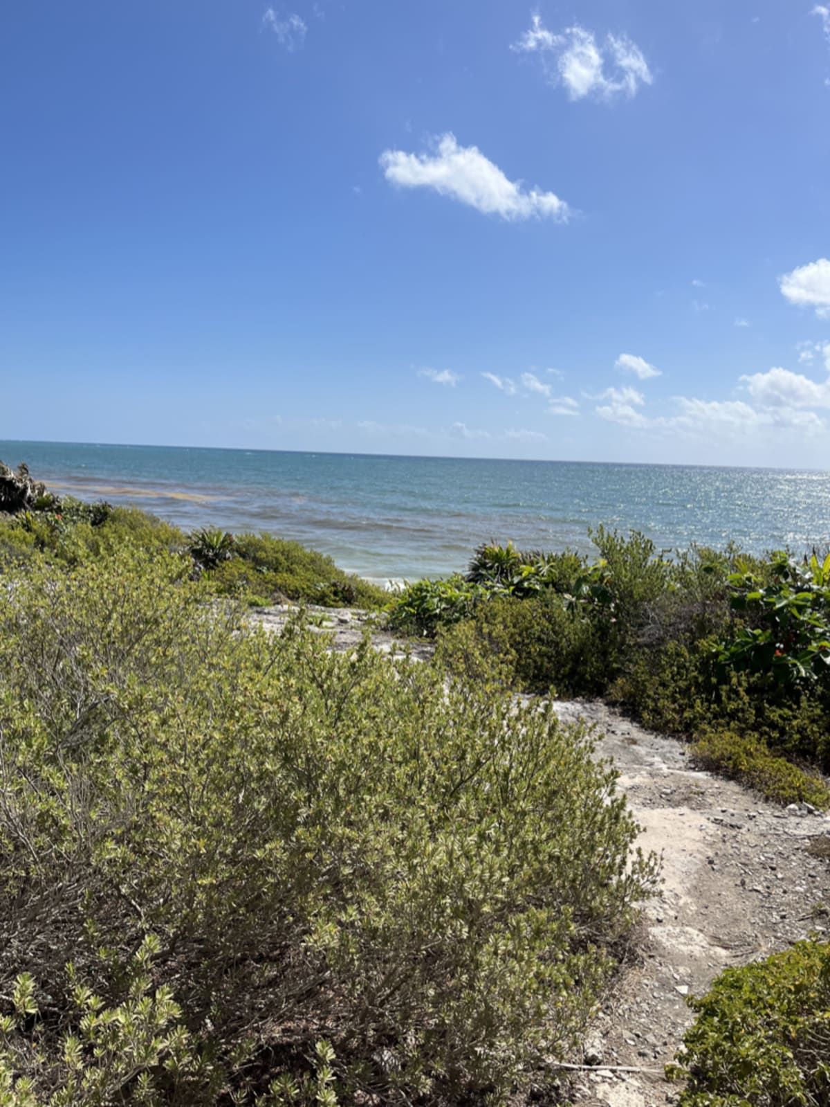 Leisurely path leading to the beach for a restful walk