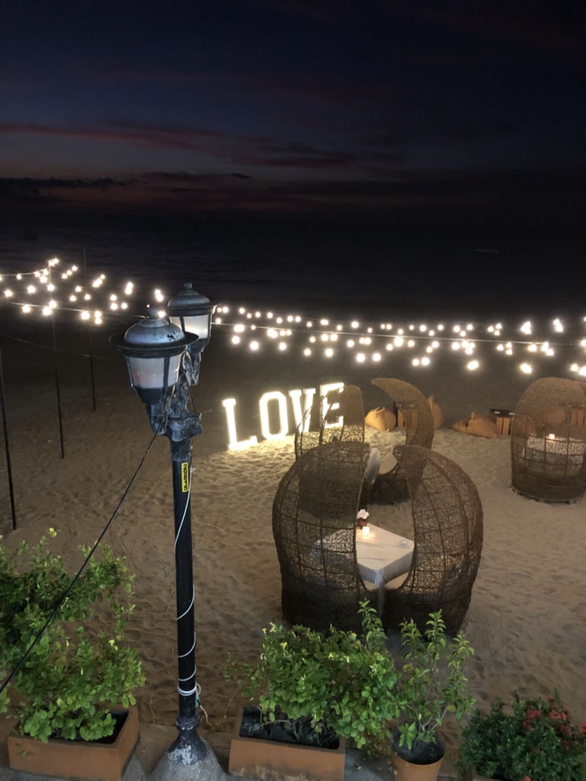 Sharing the love and magic of Puerto Vallarta with others