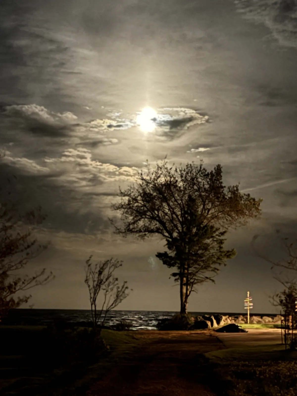 Full harvest moon glowing in the night sky