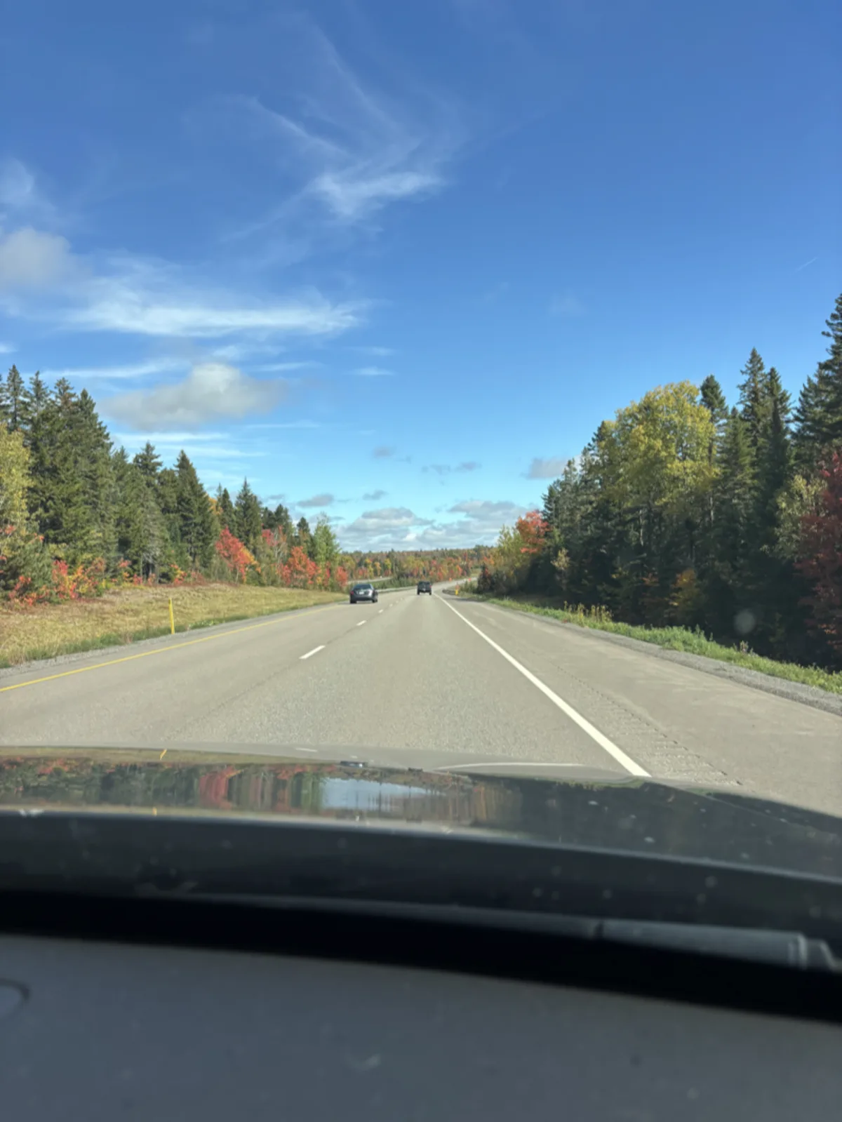 Trees dressed in brilliant red, orange and gold autumn colours in New Brunswick