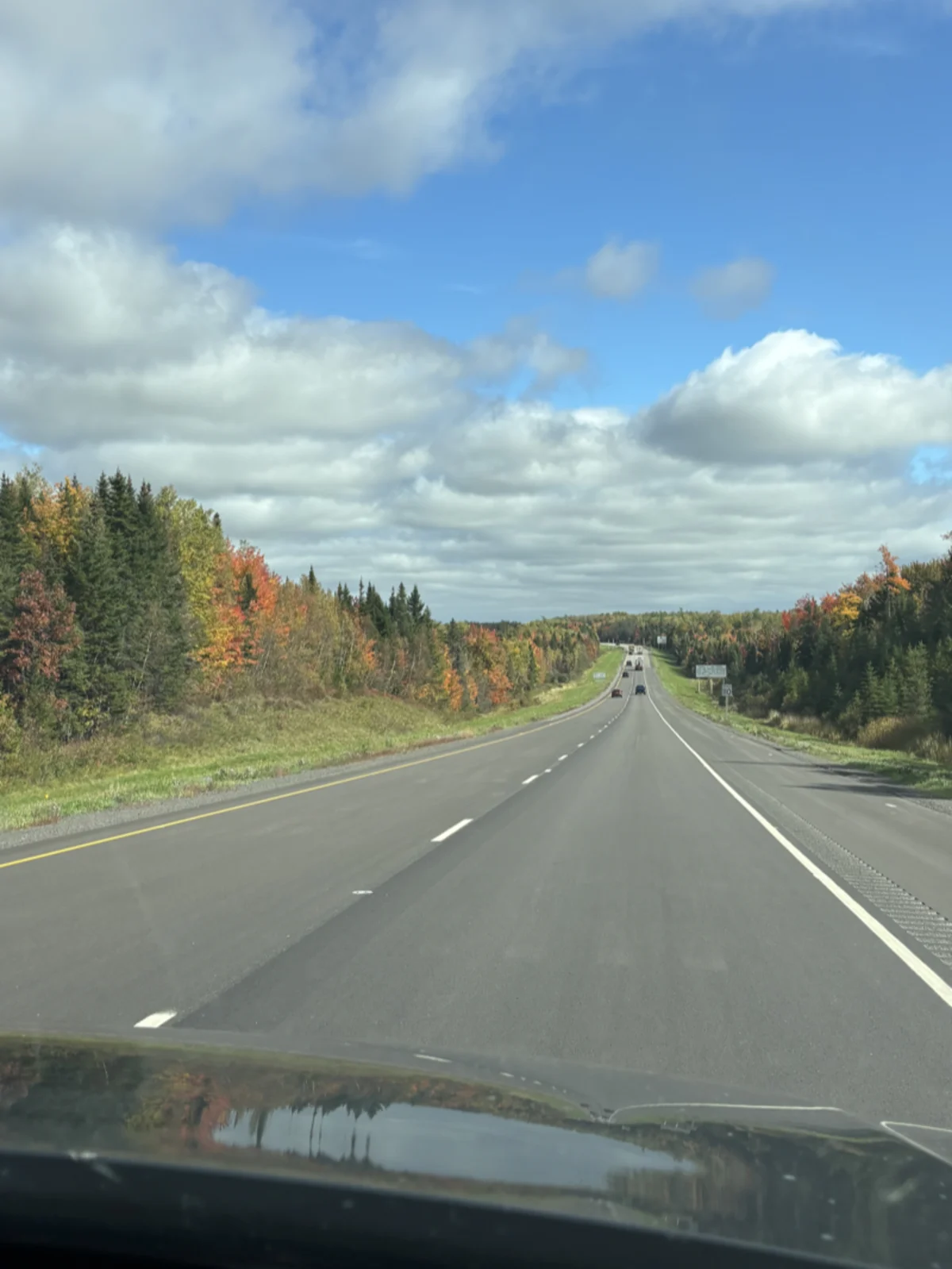 A tree-lined road in brilliant red, orange and gold autumn colours