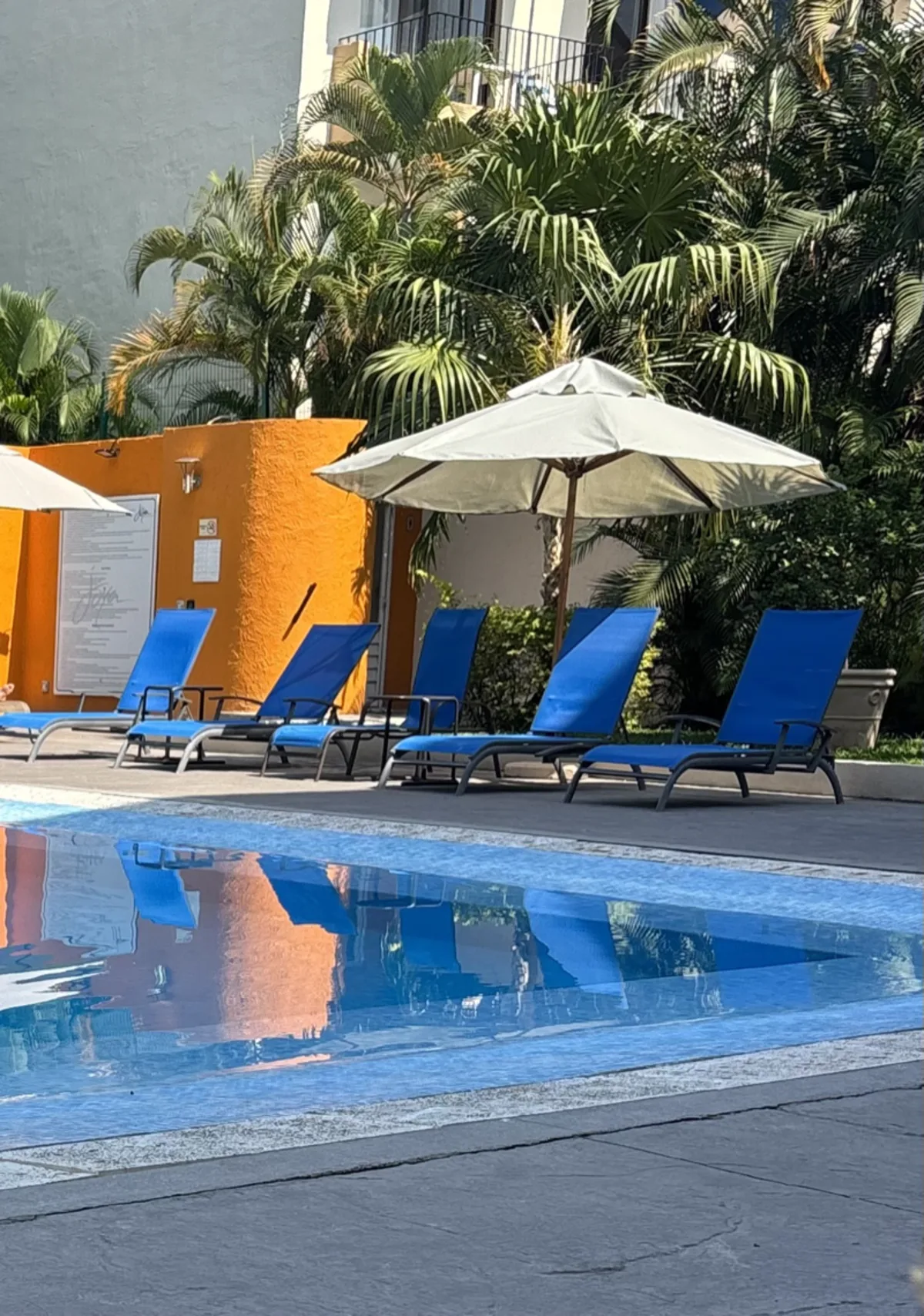 A row of inviting pool chairs beside calm turquoise water
