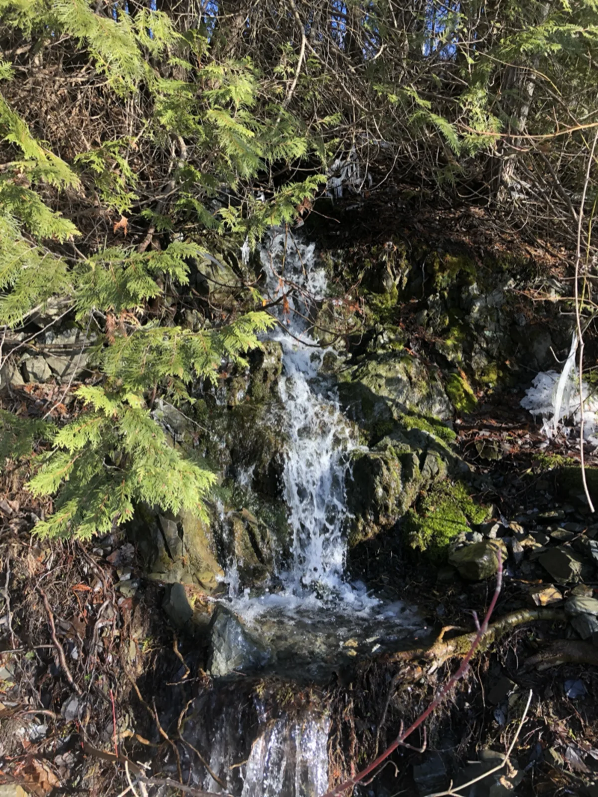 A waterfall cascading over rocks, water in one of its most powerful and calming forms